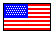 U.S.A. Flag