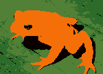 (2+2x1)-colour frog