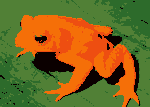 (2+3x1)-colour frog