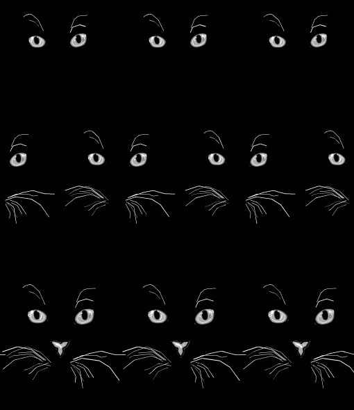 Cat Eyes, by Jill Sluka