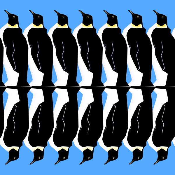 Reflected Penguin, by Jill Sluka